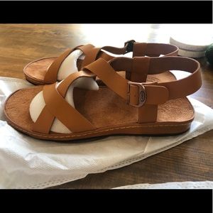 Chaco wayfarer
